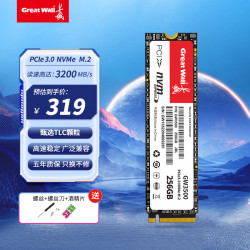 长城 读速高达3500MB/s SSD固态硬盘  256GB