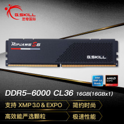 芝奇 16GB(16Gx1)单条 DDR5 6000频率 台式机内存条-焰刃(黯夜黑)/C36