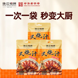 珠江桥牌 叉烧汁100g*3 叉烧酱汁0脂肪蜜汁叉烧调味酱中式酱料 中华