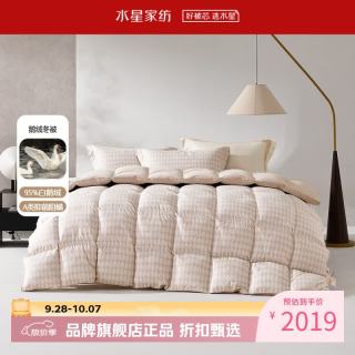水星家纺 鹅绒被A类阻螨95%白鹅绒冬被芯锁温秋冬羽绒被子 吉光飞羽抗菌白鹅绒冬被150*210cm