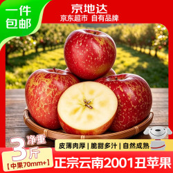 京地达 云南红露苹果礼盒净重4.3斤12粒