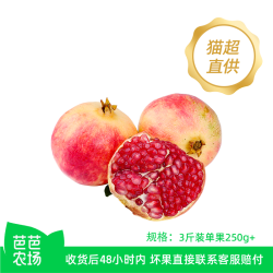 软籽石榴3斤单果250g+