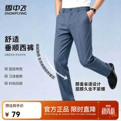 雪中飞 2025新款男士休闲直筒裤外穿裤子休闲裤百搭时尚简约西装裤 蓝灰色|8746 XL /175/84A