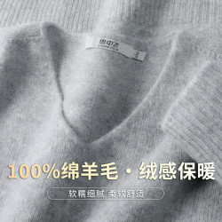 雪中飞 女式羊毛衫秋冬V领羊毛衫女纯色休闲长袖女式毛衣