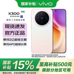 vivo X300 5G手机 12GB+256GB 幸运彩