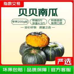 贝贝南瓜 单果约200g 带箱5斤净重 4.5斤