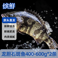 缤鲜 国产 龙胆石斑鱼净重400-600g*2条 捕捞活冻 老虎斑-源头直发
