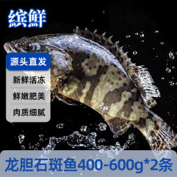 缤鲜 国产 龙胆石斑鱼净重400-600g*2条 捕捞活冻 老虎斑-源头直发