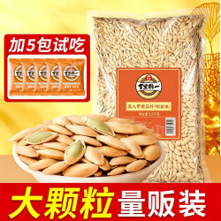 旭东 新疆南瓜子长颗粒美人甲南瓜子新货量贩团购零食