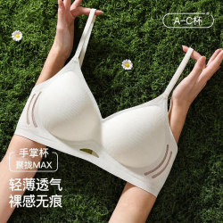 华婷露 无痕内衣女   小胸聚拢显大    收副乳防下垂    2026新款