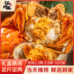 江问鱼 大闸蟹 中秋 过节送礼 全母蟹2.3两-2.6两 10只装