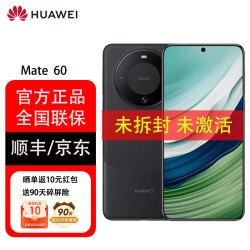 华为 Mate 60 手机 12GB+256GB 雅丹黑