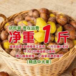 现剥现发新鲜油板栗肉手工去皮老树种软糯香甜当季商用即食小包装