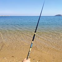 华狮胜 鱼竿钓鱼竿手竿新手入门短节鲫鱼竿溪流竿小鱼竿全套鱼野钓杆套装
