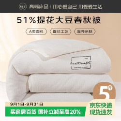源生活 被子被芯 51%大豆纤维被双人 春秋被 约5斤220x240cm