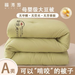 MYLEFO 2026新款超柔舒适透气水洗棉冬被原棉大豆被纤维被冬被被子