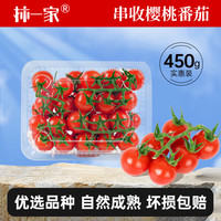 京鲜生 &柿一家 山东串收樱桃番茄净重450g*2盒