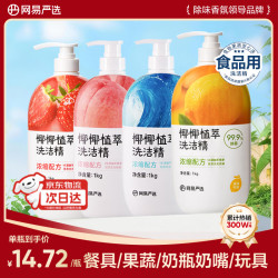网易严选 食品级洗洁精洗涤灵 植萃可洗果蔬奶瓶清洗去油去污 4kg套装