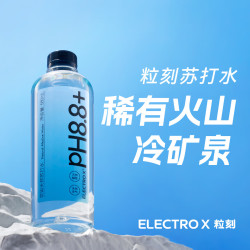 ELECTROX ELECTRO X）天然苏打水pH8.8丨弱碱性丨无糖无气丨无添加饮用水整箱会议用水 580mL 20瓶