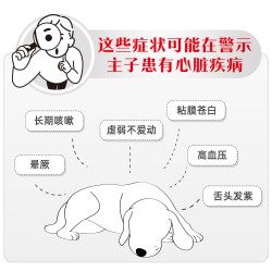 皇家 狗粮成犬心脏全价处方粮EC26老年粮2KG单小包