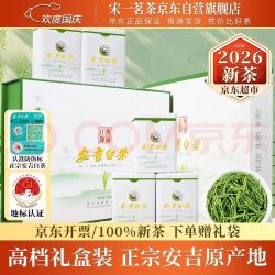 宋一 茶叶礼盒绿茶安吉白茶特级2026新茶明前茶250g