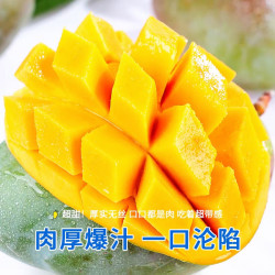 京喜 凯特大芒果 澳芒 青果 大果 400g+ 净重8斤