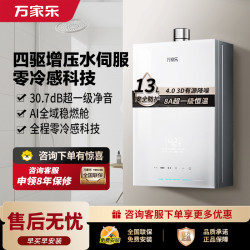 万家乐 【安睡洗S9PRO 超一级静音】13升燃气热水器天然气一级恒温水伺服防冻