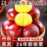 亨迅 丹东板栗新鲜大栗子净4.6斤2026年生板栗应季时令 坏果包赔
