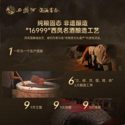 西凤酒 官方旗舰店20年45/52度纯口粮食酿造整箱品鉴装香型送礼g0