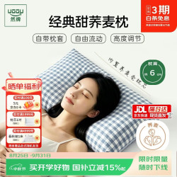 然牌 荞麦枕头 100%全荞麦壳枕头颈椎枕纯棉枕套 蓝格单只装35x55cm