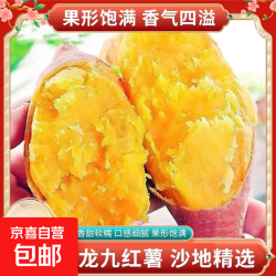 超甜糖心蜜薯应季板栗红薯新鲜甜糯粉糯山芋黄心地瓜 带箱2斤装 中小果