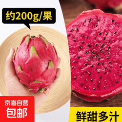 广西红心火龙果金都一号蜜宝生鲜水果皮薄肉厚整箱包邮 3粒装-净重1.2斤+ 单果200g+