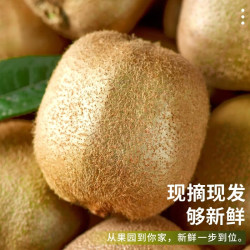 春福乐 陕西徐香猕猴桃 30枚精品果|香甜多汁