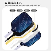 奥立弗 德国OLIVER奥立弗匹克球拍HRO系列碳纤维赛事级进阶专业比赛球拍