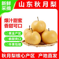 枣迎仙生 山东秋月梨 新鲜水果生鲜 极速达 中秋礼盒 优选果 净重4.5-5斤 单果300g+