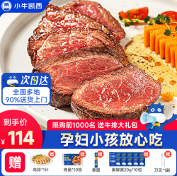 小牛凯西 牛排整切牛肉家庭儿童牛排 1.2kg菲力牛排10片+【6件套】