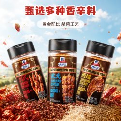 味好美 烧烤腌料100g烧烤烤肉腌制调味料孜然香辣紫苏