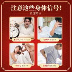时景 豪丸五子衍宗丸加锁阳固精丸正品五子衍宗丸正品补肾阳痿早泄