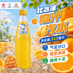 北冰洋 橙汁汽水 315ml