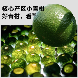 柑外婆 新会小青柑 生晒工艺 2斤(10罐装) 普洱茶