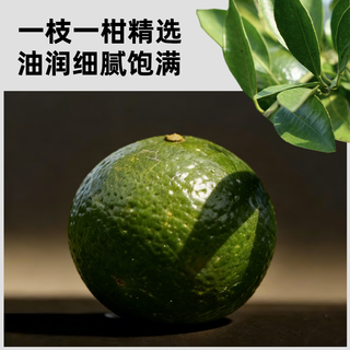 柑外婆 新会小青柑 生晒工艺 2斤(10罐装) 普洱茶