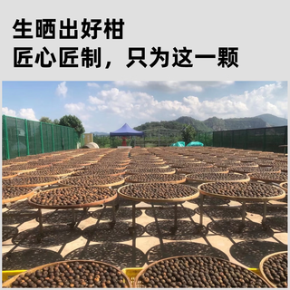 柑外婆 新会小青柑 生晒工艺 2斤(10罐装) 普洱茶