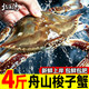 北海湾 26年新蟹 舟山特大梭子蟹新鲜速冻大螃蟹大肥壮飞蟹净重 4斤