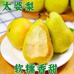 LMIX 甘肃头茬香蕉梨 新鲜薄皮太婆梨 孕妇水果