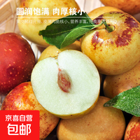山西庙上冬枣脆甜多汁大枣新鲜脆甜水果产地直发脆枣 带箱5斤（净重4.5斤） 单果12g+