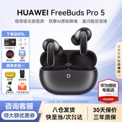 华为 FreeBuds Pro 5 入耳式无线蓝牙降噪耳机 冰霜银