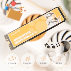 七彩虹 CN600 电竞款NVMe M.2 固态硬盘（PCI-E3.0）
