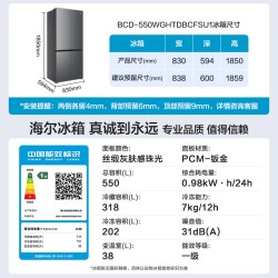 海尔 BCD-550WGHFDBCFSU1 双系统双净化 法式冰箱