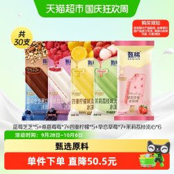 甄稀 冰淇淋新品支棒蓝莓芝芝四重柠檬流心多口味组合雪糕30支