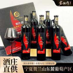 塞尚贺兰 宁夏产区黑皮诺干红葡萄酒750mlx6瓶国产红酒整箱装